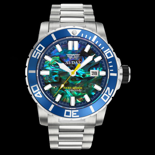 Professional 300m Dive Watch I Automatic Movement I Sapphire